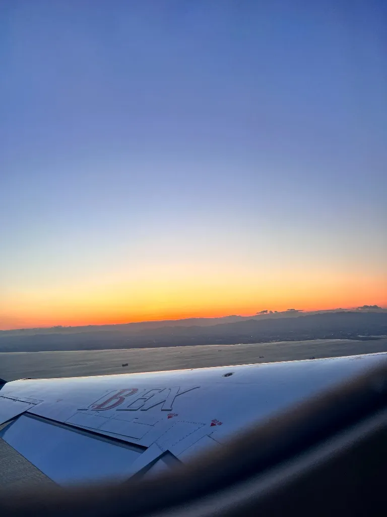 夕焼けの空と海と飛行機の翼