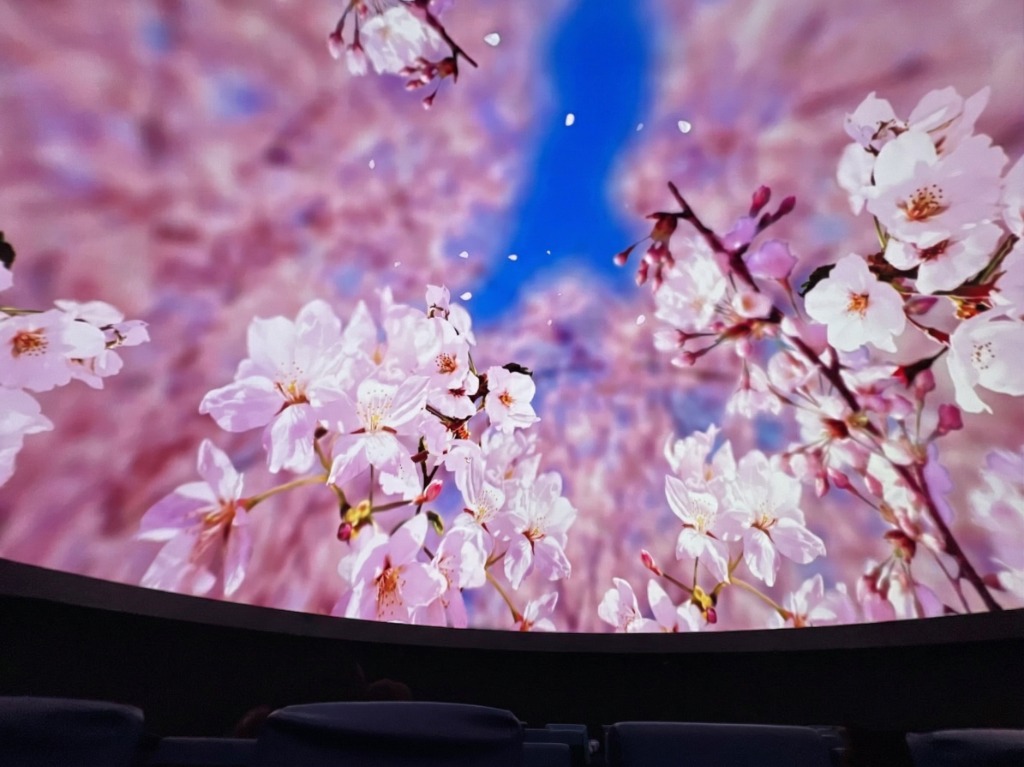 プラネタリウム満天