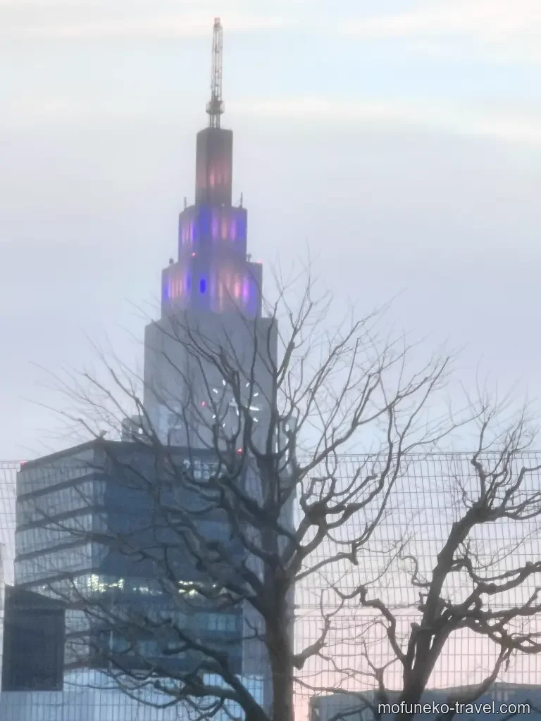 冬枯れの木々とロマンチックなドコモタワー
