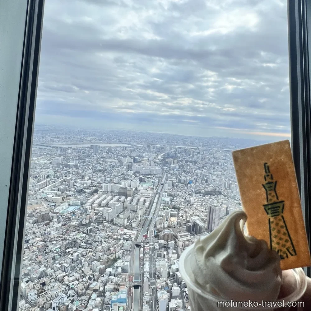 絶景をバックにしたスカイソフトの写真